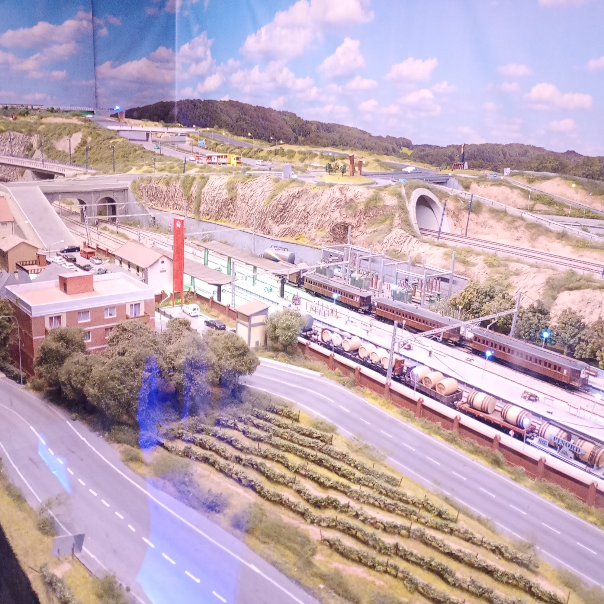 Model trasins at Celler Vell in Sant Sadurní d'Anoia