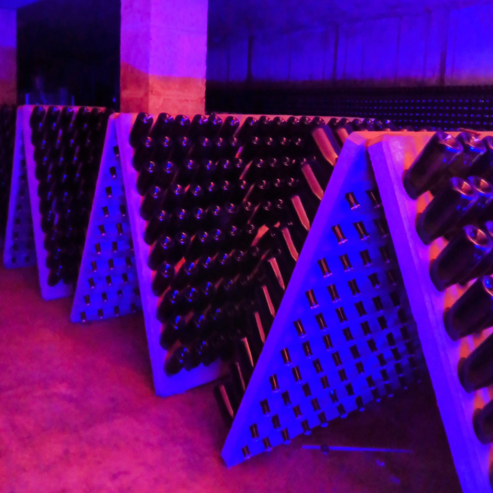 Celler Vell cellar in Sant Sadurní d'Anoia